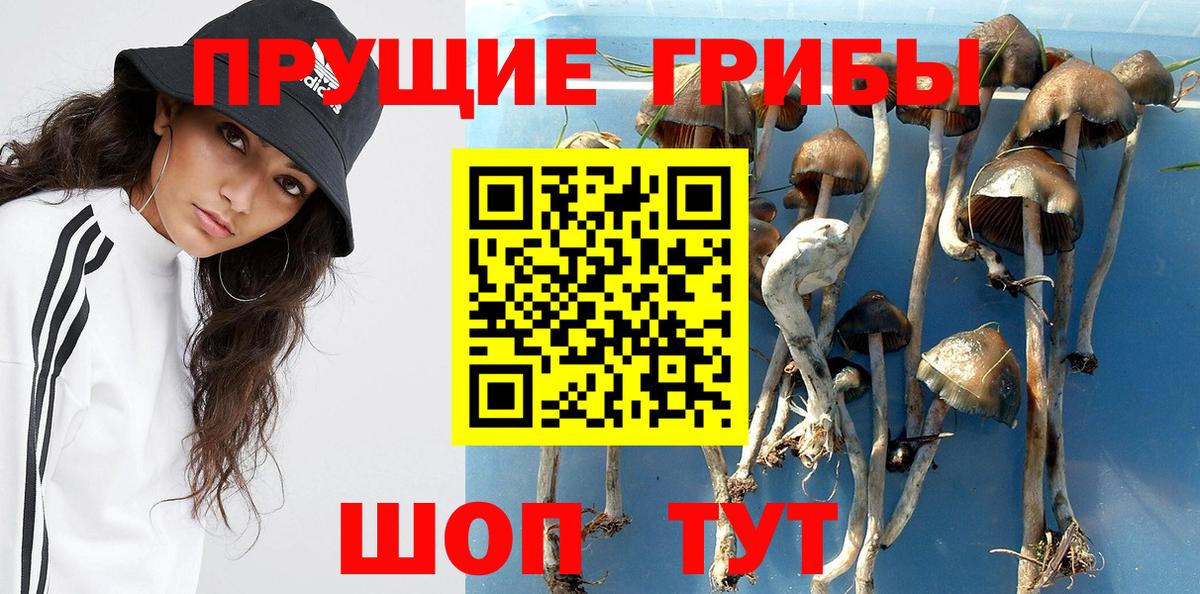 Псилоцибиновые грибы мицелий Ревда